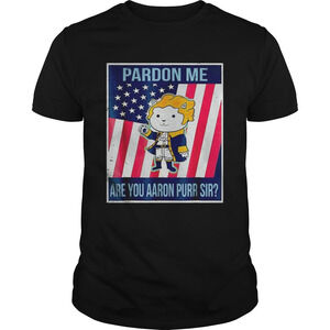 Pardon Me Are You Aaron Purr Sir American Flag Shirt